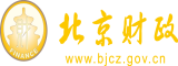 啊啊啊插插插综合北京市财政局