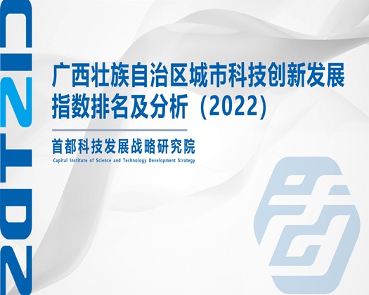 大鸡八操美美臭逼【成果发布】广西壮族自治区城市科技创新发展指数排名及分析（2022）